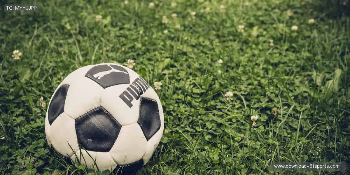 👟潮流装备，个性定制！从球鞋到球衣，打造专属你的运动风格！🎾